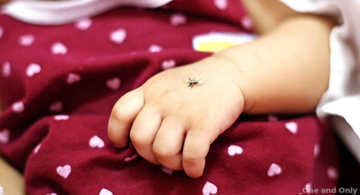 Mosquito Bite in Babies