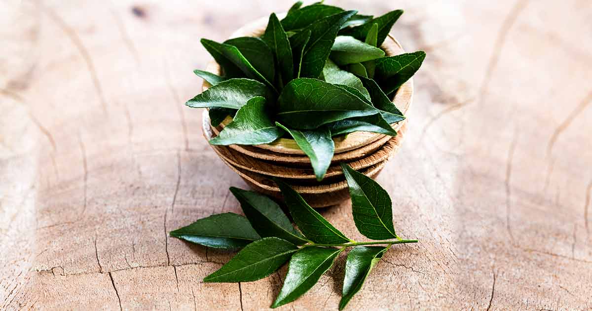  12 Surprising Health Benefits of Curry Leaves