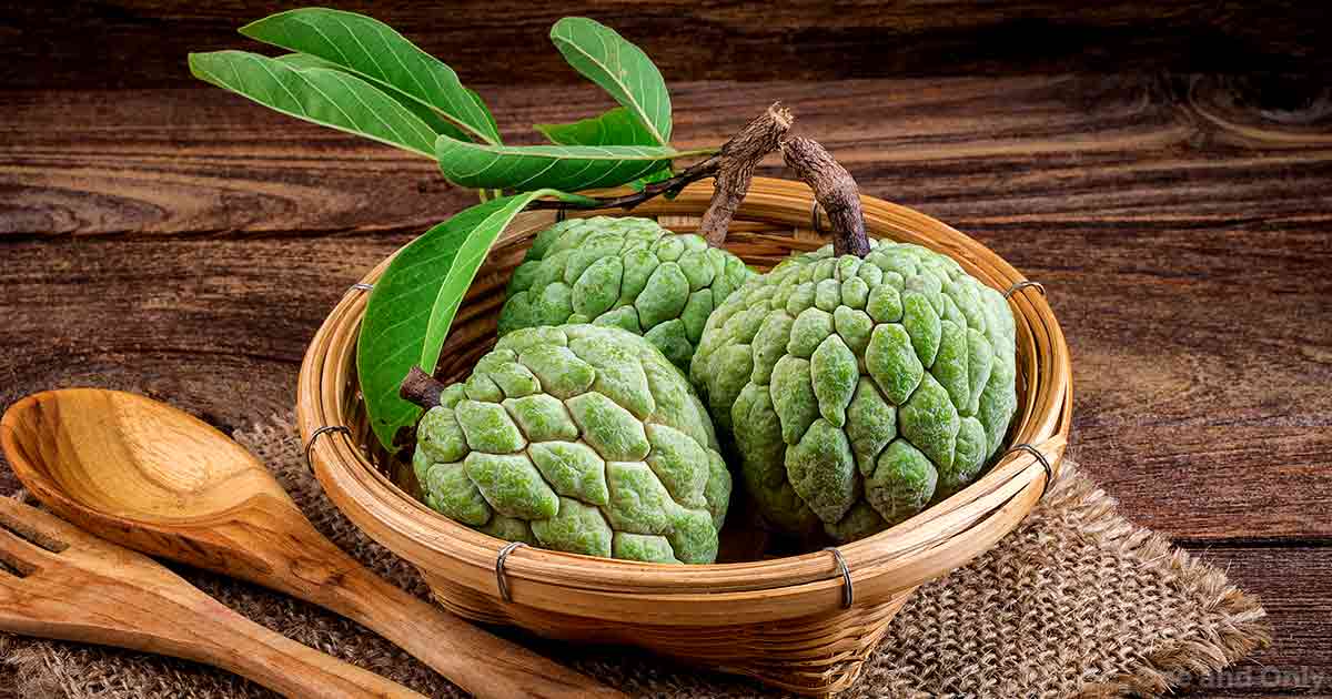 Do You Know the Health Benefits of Custard Apple?