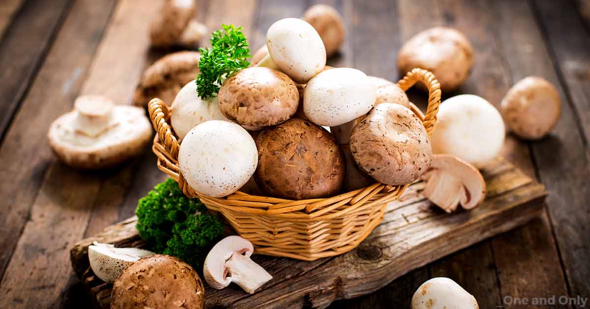 Know the Edible Types and Benefits of Mushrooms
