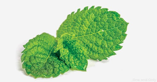 Get to Know the Unknown Facts About Mint 