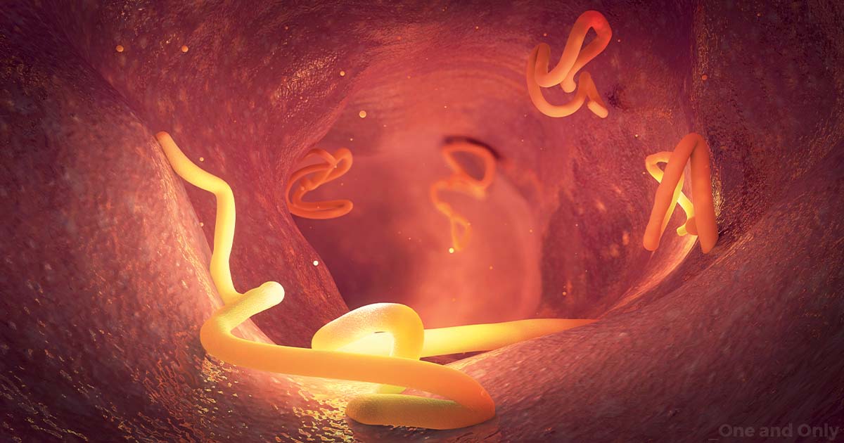 Intestinal Worms: Types, Causes, Symptoms
