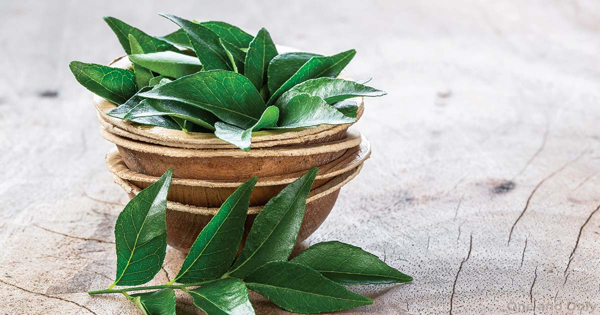 Advantages of Curry Leaves
