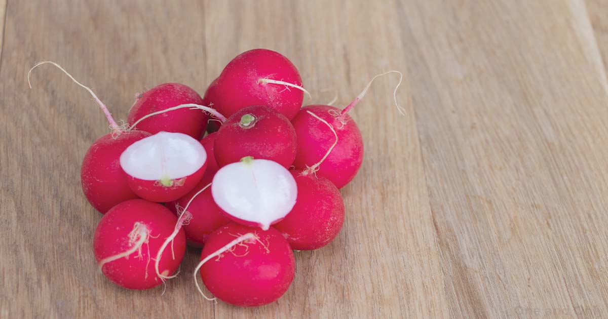 List of Health Benefits Enriched in Radish